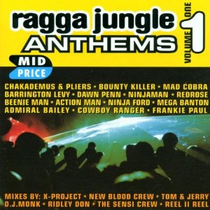 Ragga Jungle Anthems - Vol. 1